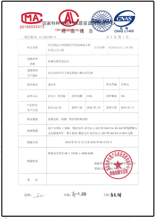 檢驗(yàn)報告