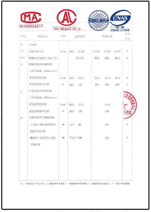 檢驗(yàn)報告
