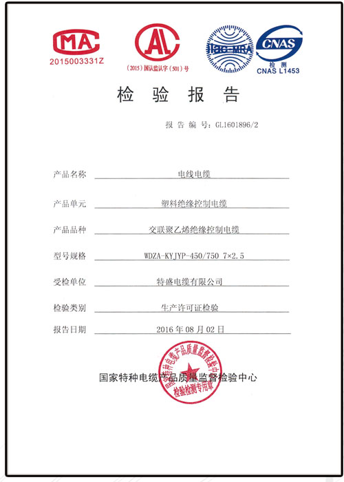 檢驗(yàn)報告