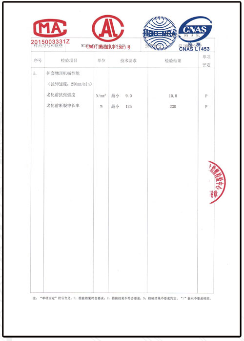 檢驗(yàn)報告