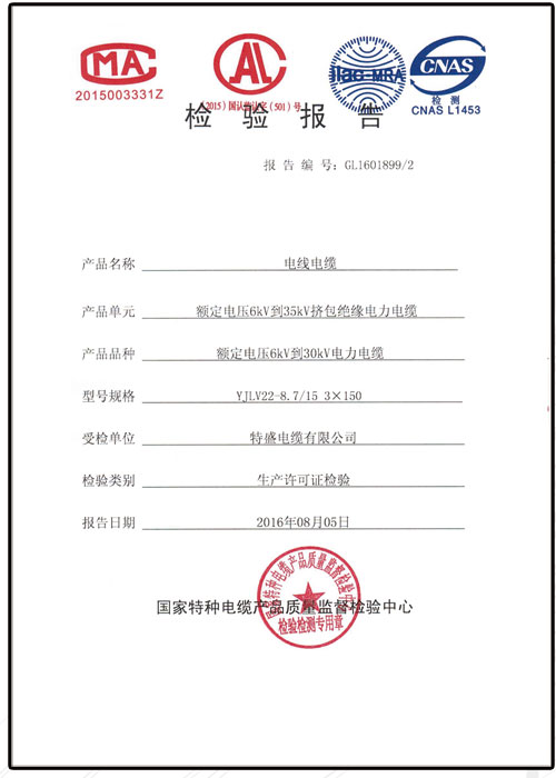檢驗(yàn)報告